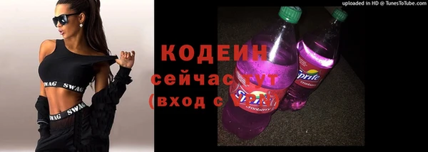 эйфоретик Алзамай
