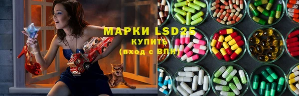 эйфоретик Алзамай