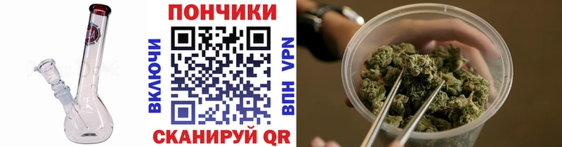 Бошки Шишки ГИДРОПОН  Рубцовск 
